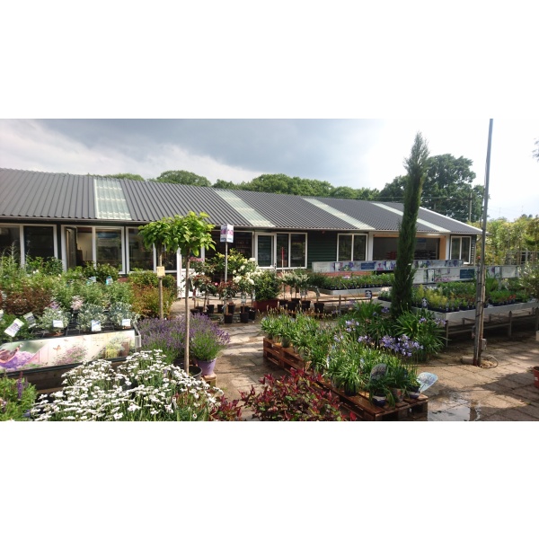 Groencentrum van Reine - Velp - Afbeelding 2